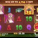 Dog House слот: огляд гри, бонусів та особливостей
