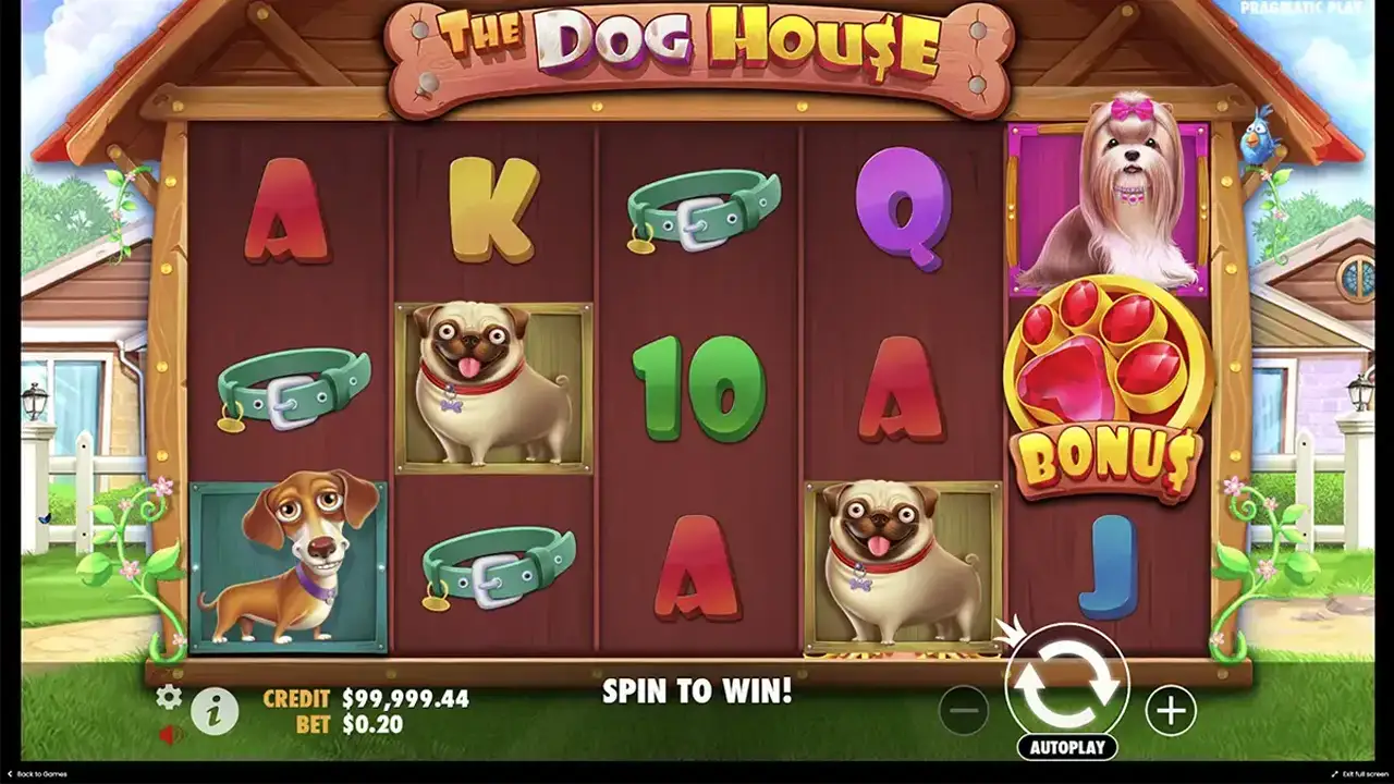 Як почати грати в Dog House 